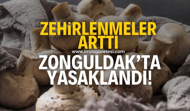 Zonguldak'ta artan zehirlenme vakaları nedeniyle mantar yasaklandı!