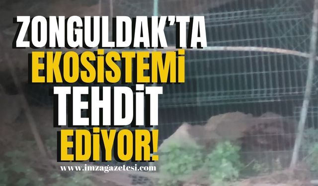 Zonguldak'ta Ekosistemi Tehdit Ediyor!