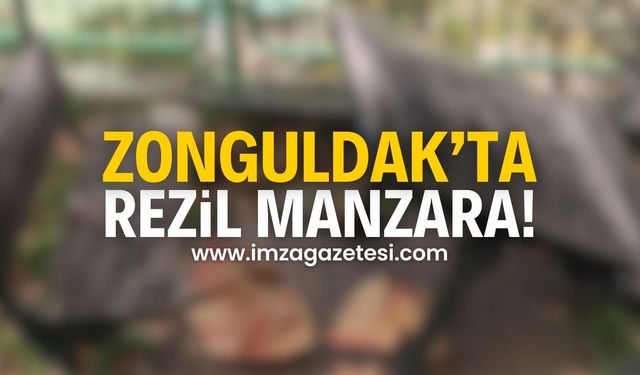 Zonguldak’ta Tepki Çeken Manzara! Belediyeden Açıklama Bekleniyor! | Zonguldak haber