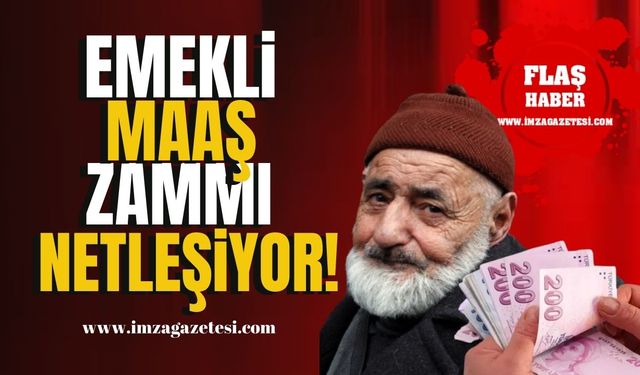 2025 Yılı Emekli Maaşı Zammı Netleşiyor! | Emekli Zam Haberleri