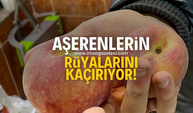 Aşerenlerin rüyalarını kaçırıyor!