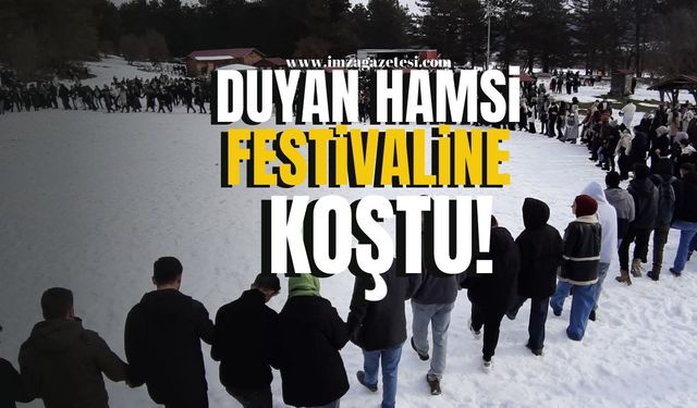 Binlerce kişi hamsi festivaline akın etti!