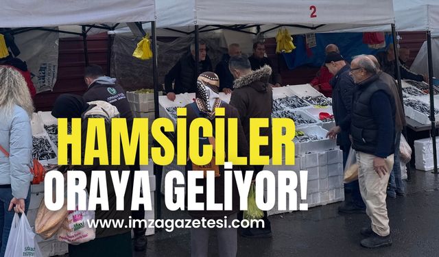 Tezgahların göz bebeği yerli hamsi kendini gösterdi!