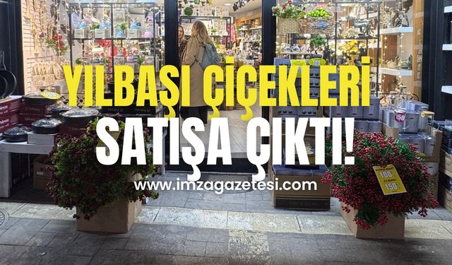 Yılbaşı çiçekleri ilgi odağı oldu!