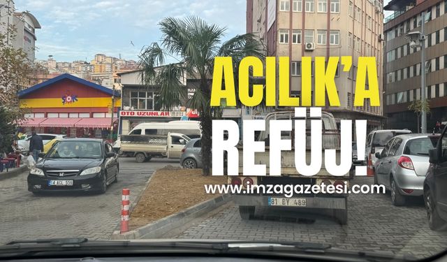 Acılık’da hayata geçti!