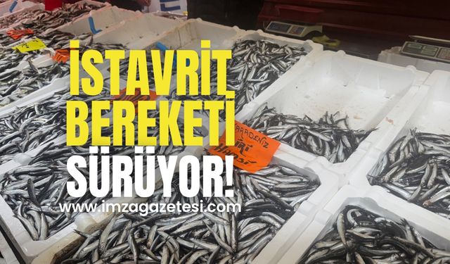 İstavrit yüz güldürüyor! Fiyatı değişmedi