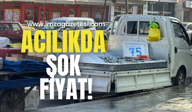 Acılıkda istavrit şoku!