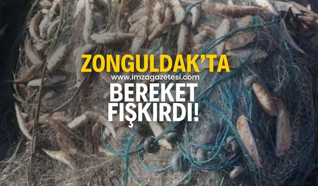 Zonguldak'ta bereket fışkırıyor