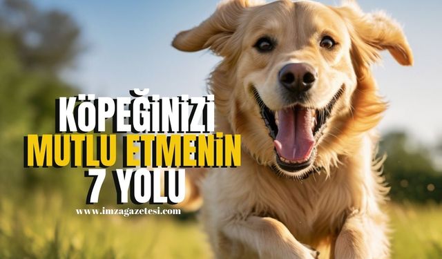 Köpeğinizi Mutlu Etmenin 7 Yolu...