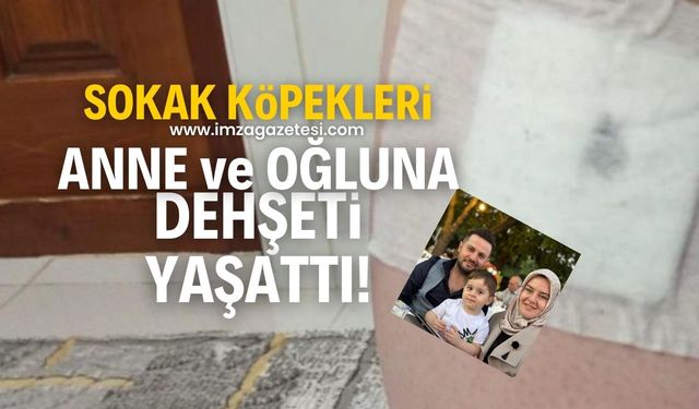 Sokak köpeği anne ve küçük oğluna saldırdı