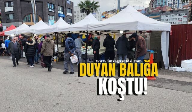 İstavritin fiyatını duyan adeta sırada bekledi!