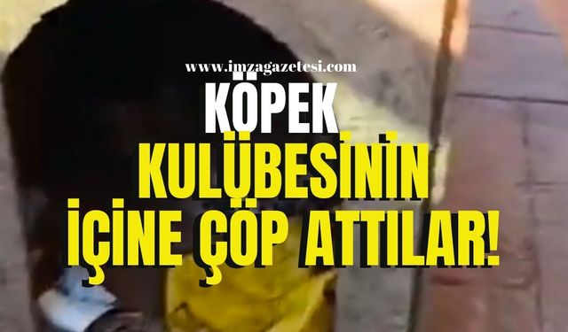 Kent merkezinde tepki çeken görüntü! Bunu da yaptılar