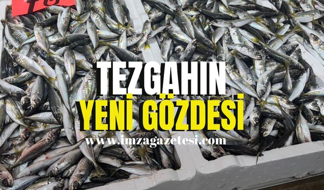 Tezgahın yeni gözdesi İstavrit!