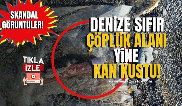 Zonguldak-Kozlu skandal görüntüler! Karadeniz'in denize sıfır çöplük alanı ne zaman temizlenecek?