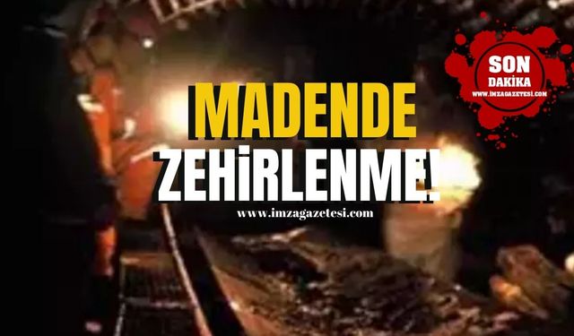 Zonguldak'ın ilçesinde madende zehirlenme!