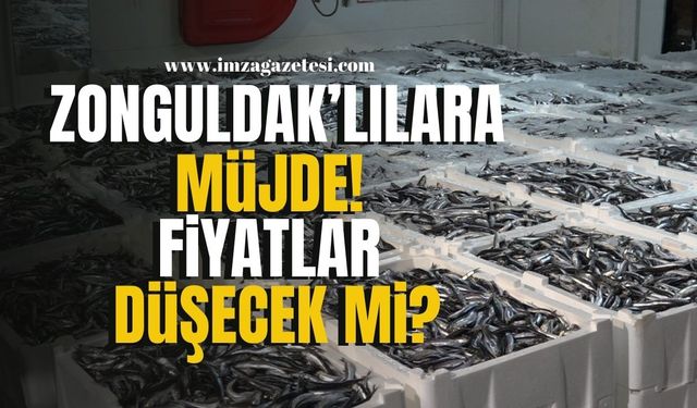 Zonguldaklı Balıkçılar Hamsi Bolluğuyla Döndü! Fiyatlar Düşecek mi? | Zonguldak Haber