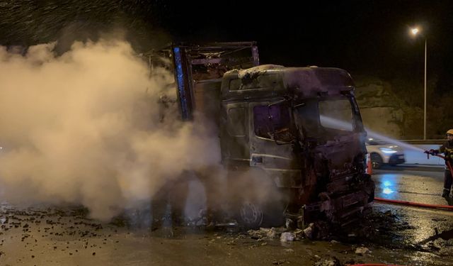 Kömür yüklü tır alevlere teslim oldu