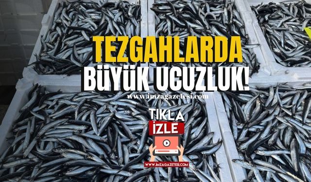 Zonguldak’ta Tezgahta Ucuz Balık Yoğun İlgiyi Beraberinde Getirdi!