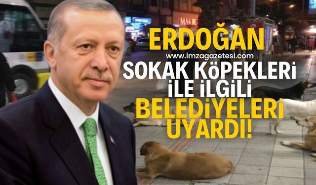 Cumhurbaşkanı Erdoğan'dan başıboş sokak köpeği sorununa ilişkin açıklama