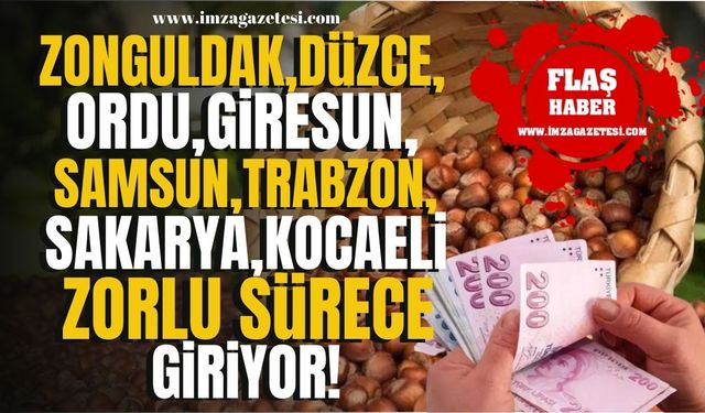 Düzce, Giresun, Ordu, Trabzon, Sakarya, Kocaeli, Samsun Zonguldaklı fındık üreticileri için zorlu süreç başlıyor! |