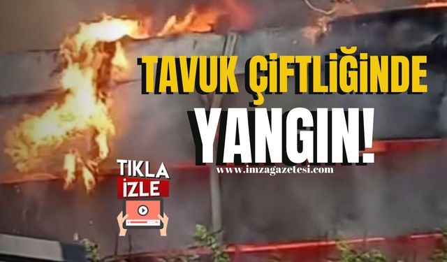 Düzce’de Tavuk Çiftliğinde Yangın Paniği! | Düzce Haberleri