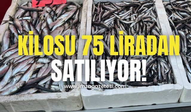 Kilosu 75 liraya düştü! Duyan koşuyor