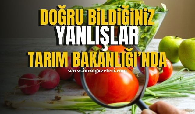 Gıda Güvenliğiyle İlgili Merak Edilenler... Doğru Bildiğiniz Yanlışlar, Tarım Bakanlığı'nda! | Gündem Haber