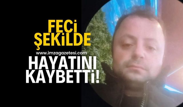 Kestiği ağacın altında kalan işçi feci şekilde can verdi