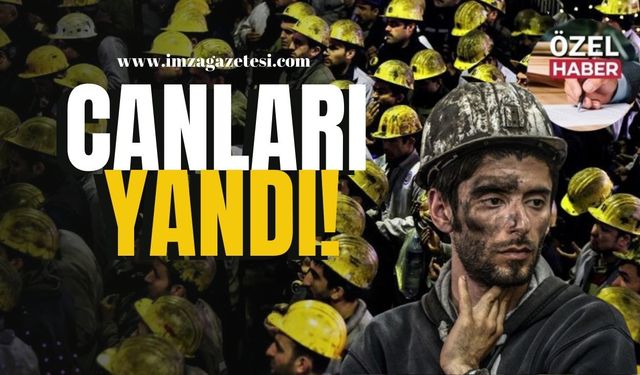 Canları yandı ama 180 bin ton ürettiler! | Zonguldak Haber