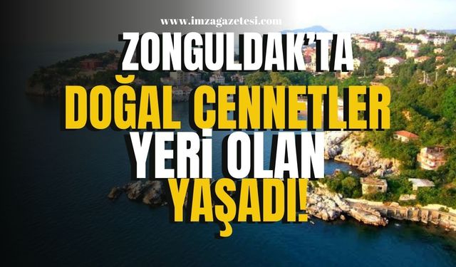 Zonguldak'ın Doğal Cennetleri… Yeri Olan Yaşadı! | Zonguldak Haber