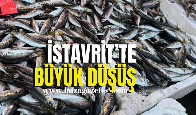 İstavrit’te büyük düşüş!