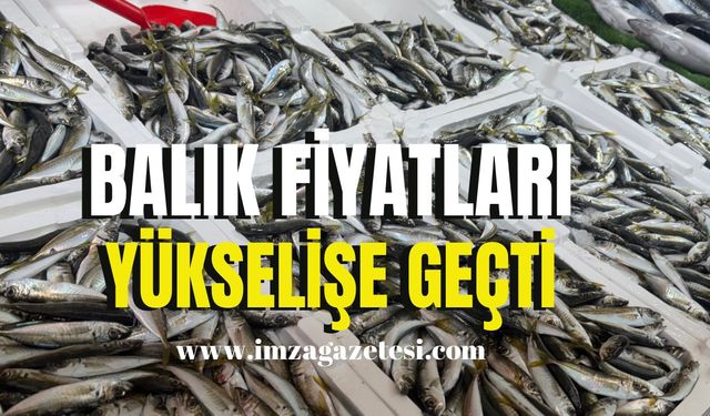 Balık fiyatları yükselişe geçti!