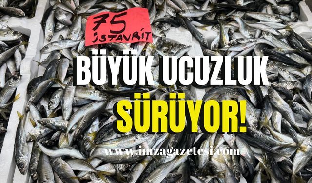 Tezgahlarda büyük ucuzluk!