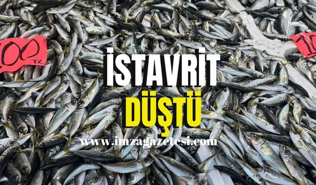 İstavrit düştü!