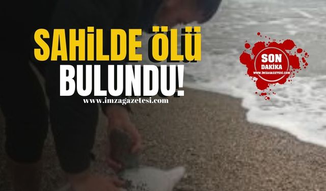 Zonguldak Sahili'nde ölü bulundu!