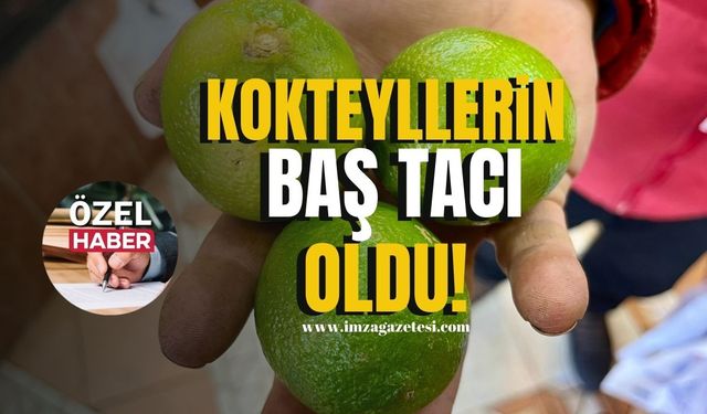 Yılbaşında kokteyllerin baş taçı oldu!