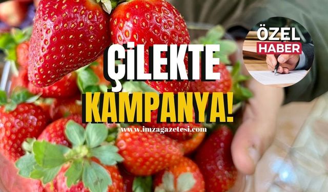 Çilekte kampanya! 830 lira indirim yapıldı!