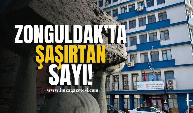 Zonguldak’taki sigortalı çalışan sayısı şaşırttı! | Zonguldak Haber