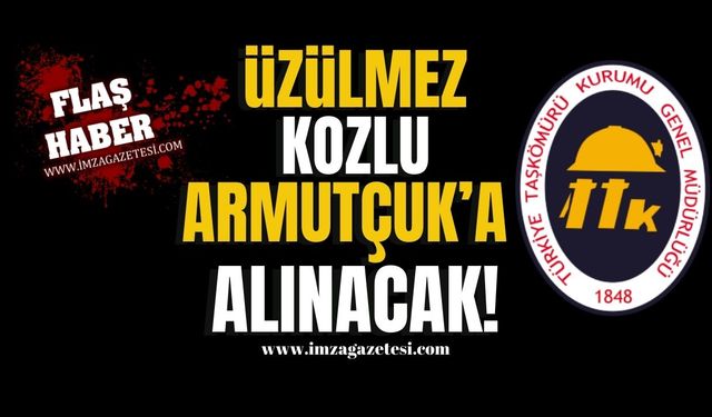 TTK, Üzülmez, Kozlu, Armutçuk’a alınacak!