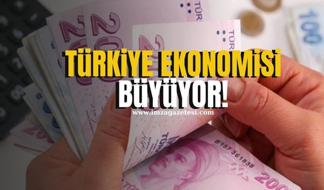 Türkiye Ekonomisi 2024'te Büyümeye Devam Etti... O Sektör Zirveye Yerleşti!