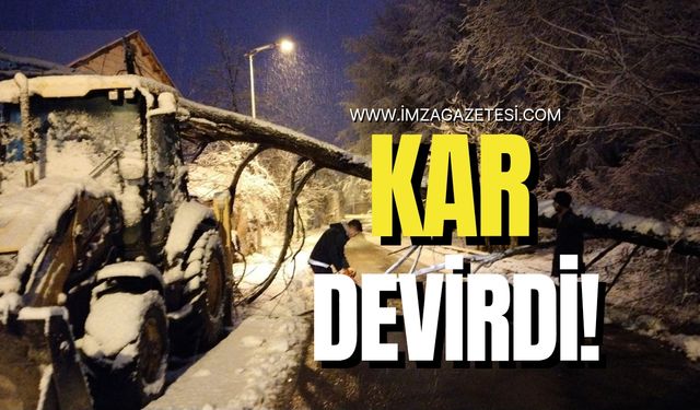 Zonguldak'ta kar, ağaç devirdi! | İMZA