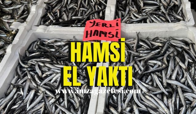 Hamsi el yakıyor!