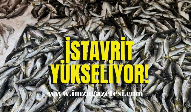 İstavrit fiyatıyla şaşırttı!