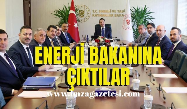 Enerji Bakanını ziyaret ettiler