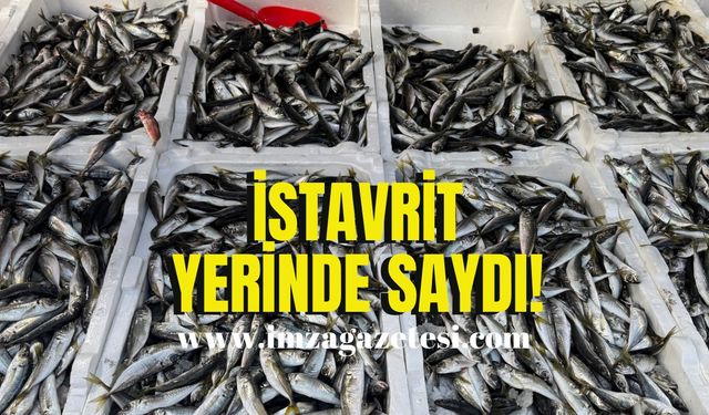 İstavrit yerinde sayıyor!