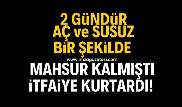 2 gündür aç ve susuz bir şekilde mahsur kalmıştı itfaiye kurtardı