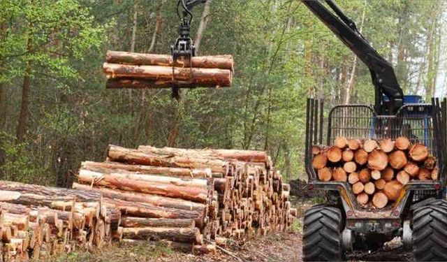 Orman Emvali İstifleme Hizmeti Alınacaktır