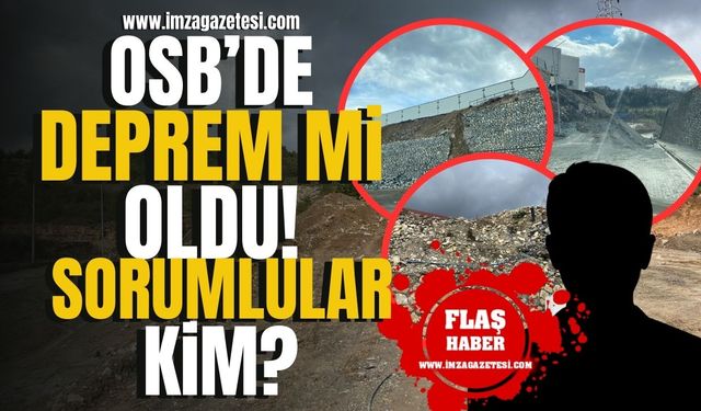 Alaplı OSB'de deprem mi oldu! Sorumlular kim? | Alaplı Haberleri
