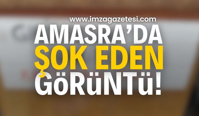 Amasra’da Şok Eden Görüntü | Bartın haberleri