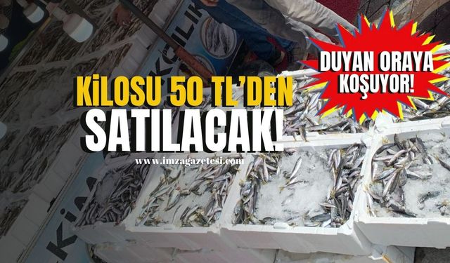 Zonguldak Açıklarında Bereketli Av! Tonlarca balık 50 TL'den satılacak!